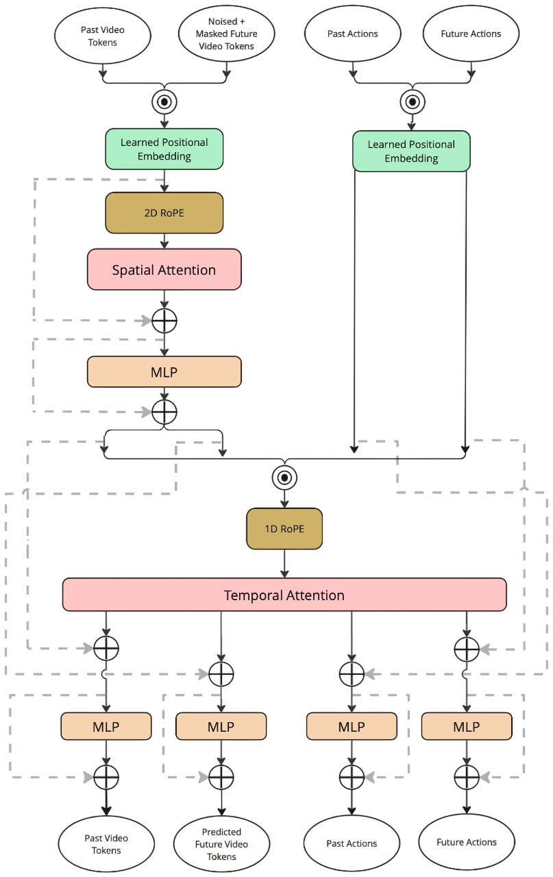 Masked Video transformer block architecture